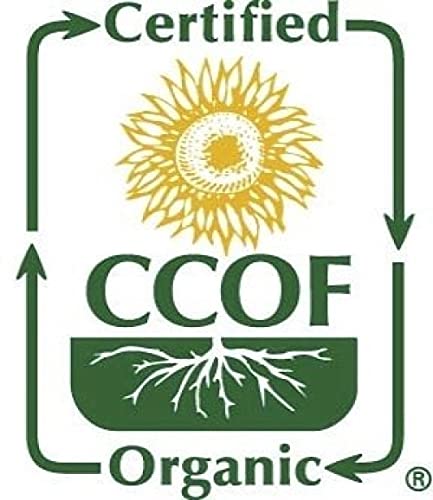McCabe Organic Oat Flour White - Oat Flour Organic | Rich with Fiber & Minerals | USDA and CCOF Certified | Product of USA | 2Lbs