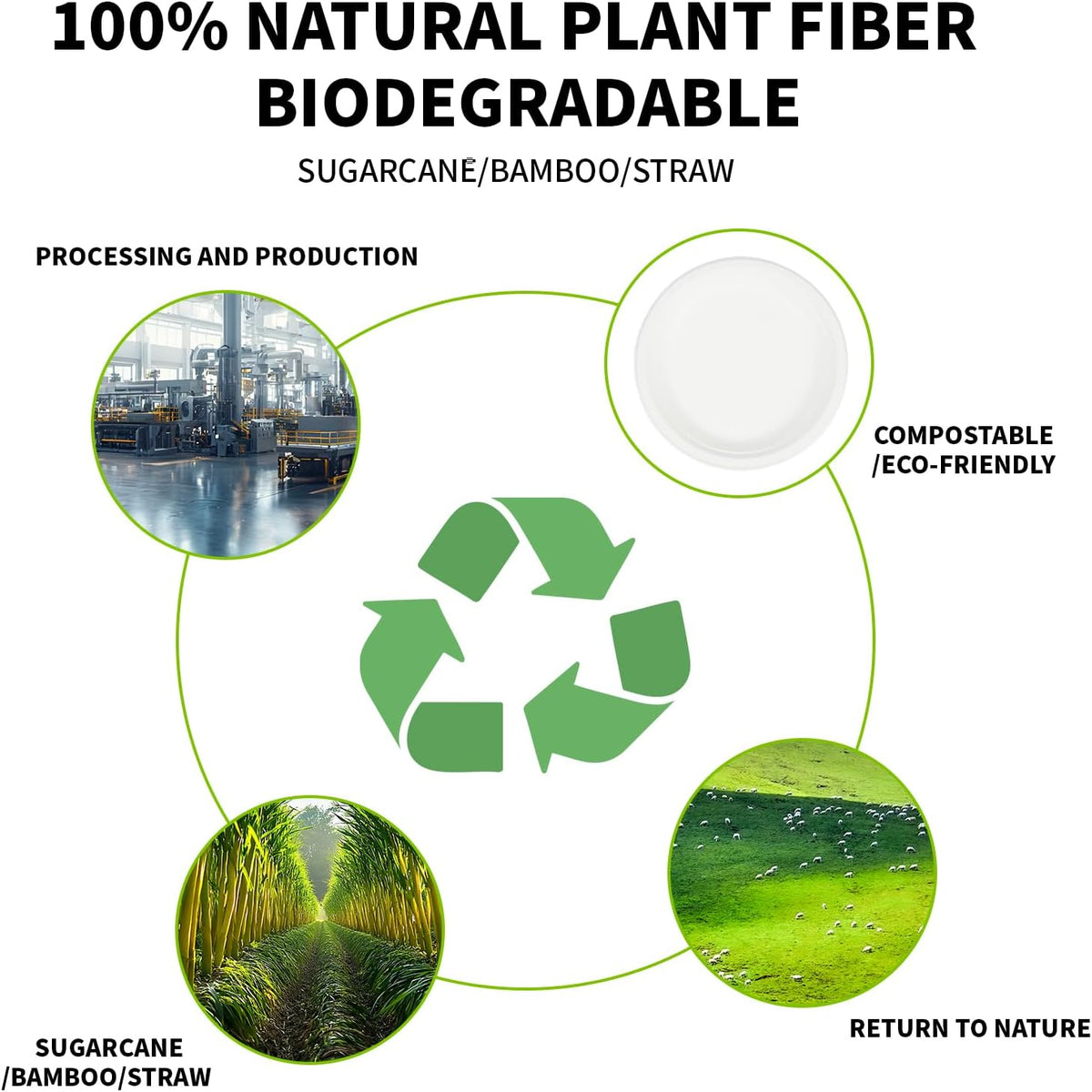 Compostable Paper Plates 9 Inch - 100% Biodegradable, Heavy Duty Eco-Friendly Disposable Plates for Camping,Parties, Weddings, BBQ (150 Pack) (9" White Plates)