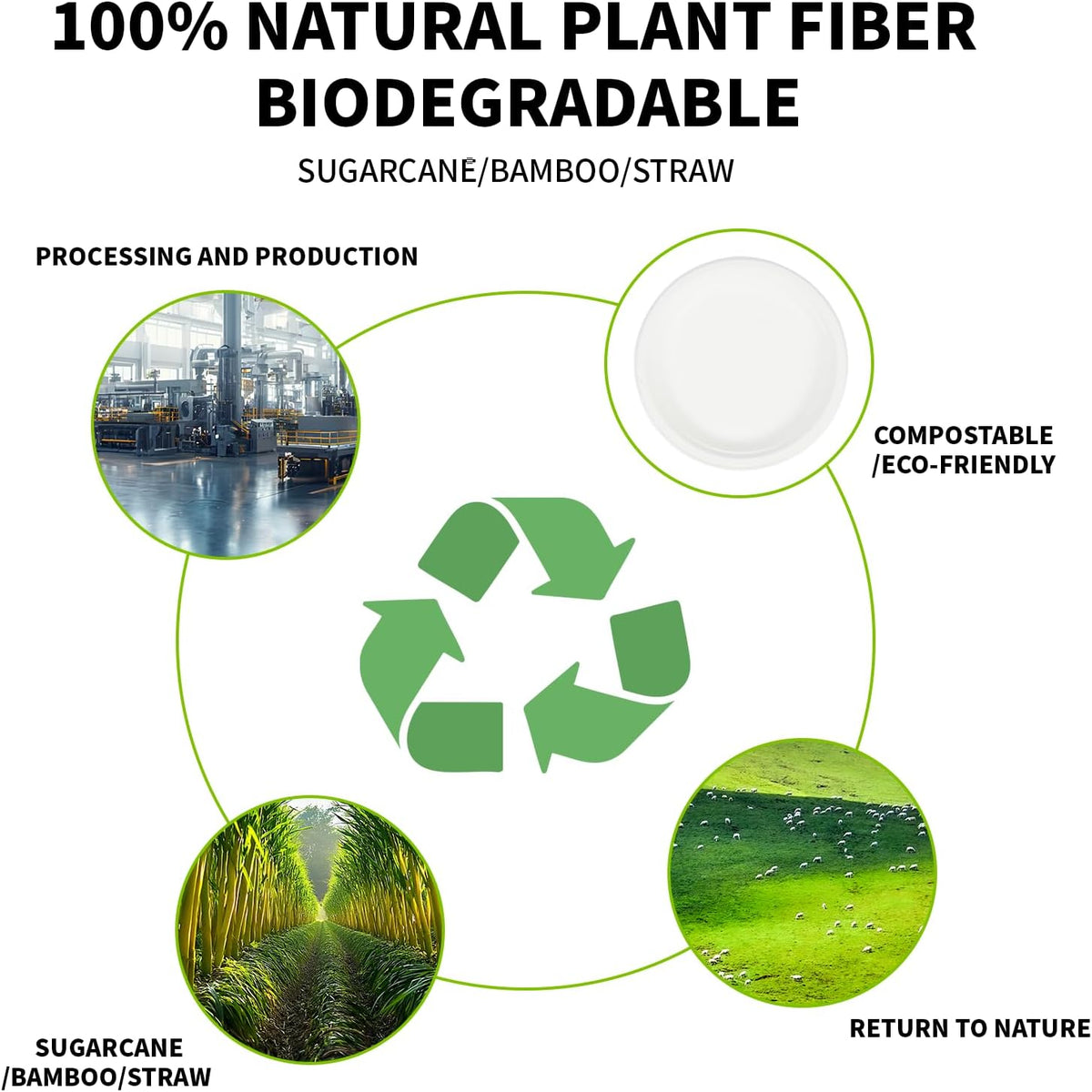 Compostable Paper Plates 9 Inch - 100% Biodegradable, Heavy Duty Eco-Friendly Disposable Plates for Camping,Parties, Weddings, BBQ (150 Pack) (9" Natural Brown)