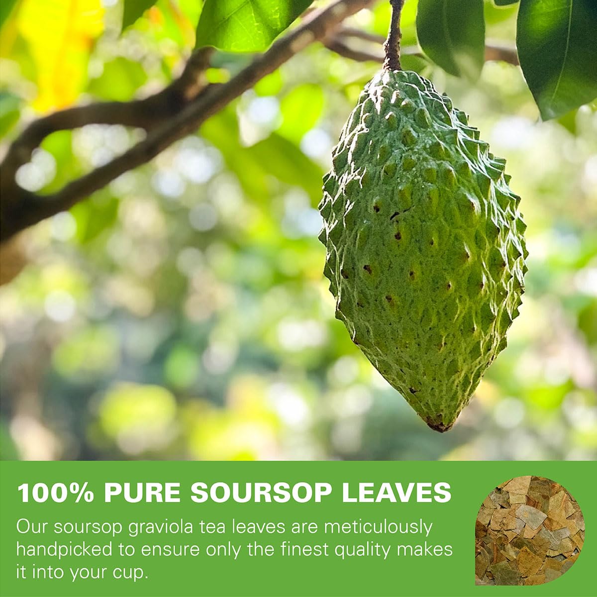 WT WEETEE Soursop Leaves Tea Bags, Made with 100% Pure Soursop Graviola/Guanabana Leaves, Natural Caffeine-free Herbal Tea, 50 Corn Fiber Tea Bags