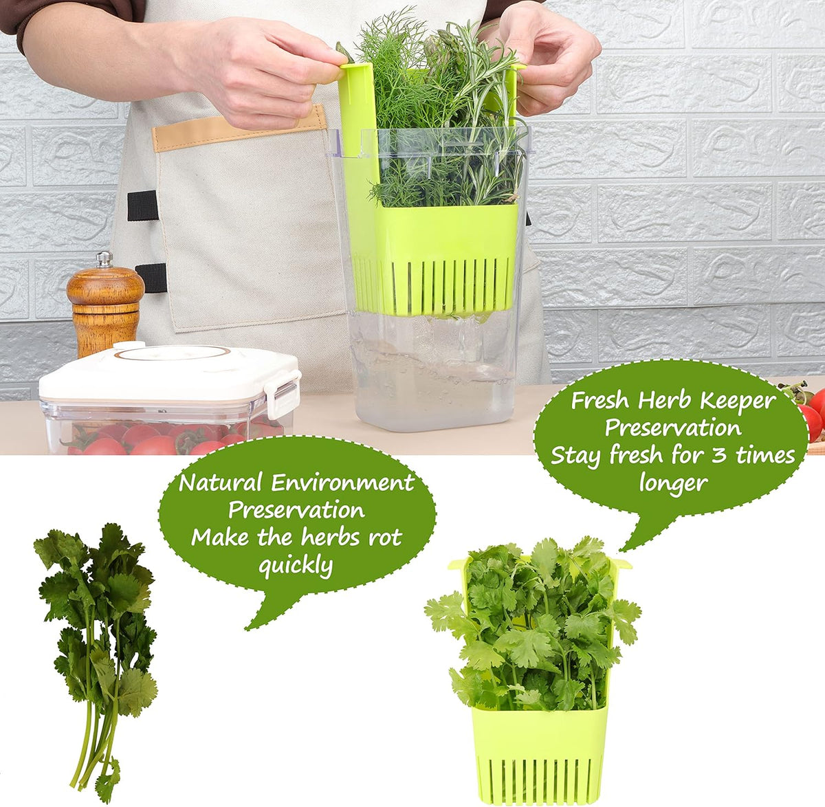 2 Pack Fresh Herb Keeper for Refrigerator, Clear BPA-Free Herb Saver, Storage Container for Cilantro, Parsley, Thyme, Mint & Asparagus, Preserver Keeps Fresh Herbs for 3 Times Longer