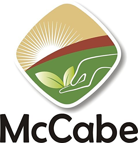 McCabe Organic White Quinoa Flour - Quinoa Flour Organic | Rich with Fiber & Minerals | USDA and CCOF Certified | Packed in USA | 2Lbs (Pack of 2)