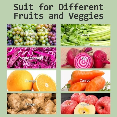 whall Masticating Slow Juicers, Juicer Machines, Cold Press Juicers, Professional Stainless Juice Machines for Vegetable and Fruit, Touchscreen Cold Press Juicer with 2 Speed Modes, Easy Clean,Grey