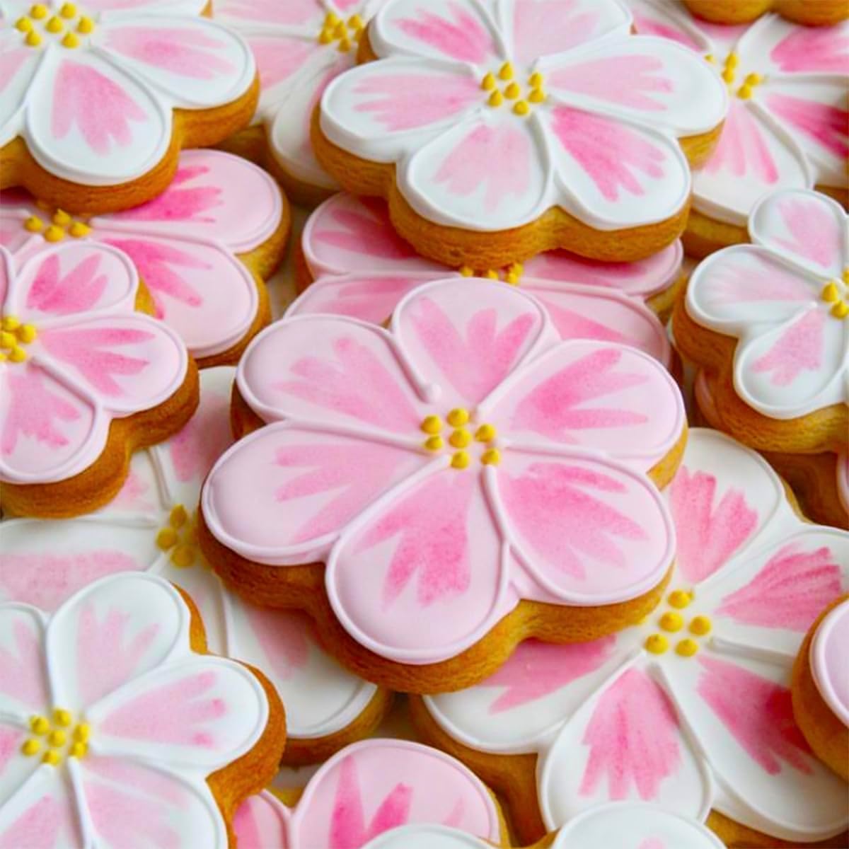 Basic Cookie Cutters 16Pcs, Star Round Flower Snow Shapes Cookie Cutter 4 Size, Biscuit Fondant Cutters Pancake Molds for Baking Decorating Daily Holiday Birthday Party