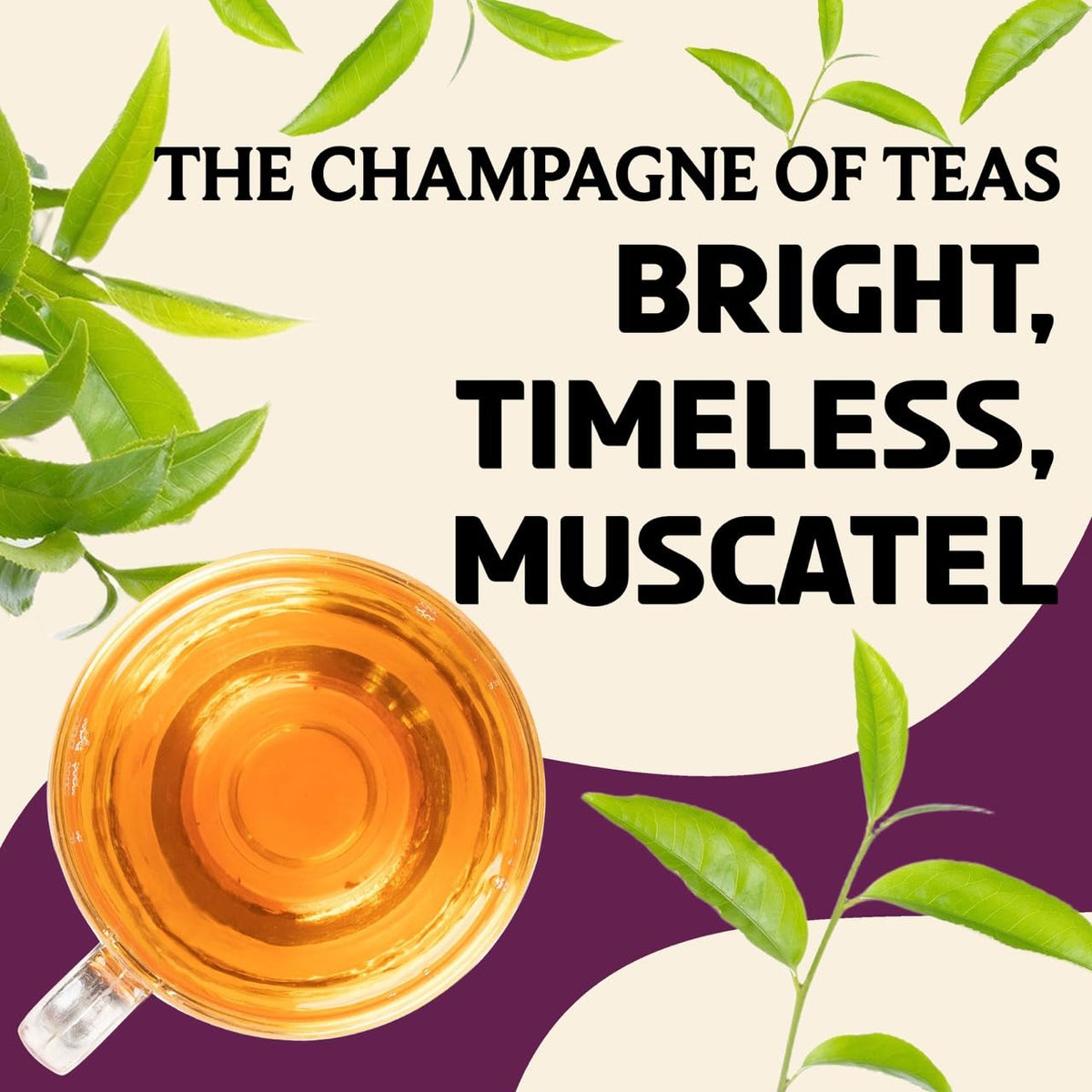 BREWIX, Darjeeling Tea Leaves from Hills of Himalayas (50+ Cups, 3.53oz/100g) | Pure Loose Leaf Darjeeling Black Tea | Long Leaf Grade | Straight From Source In India