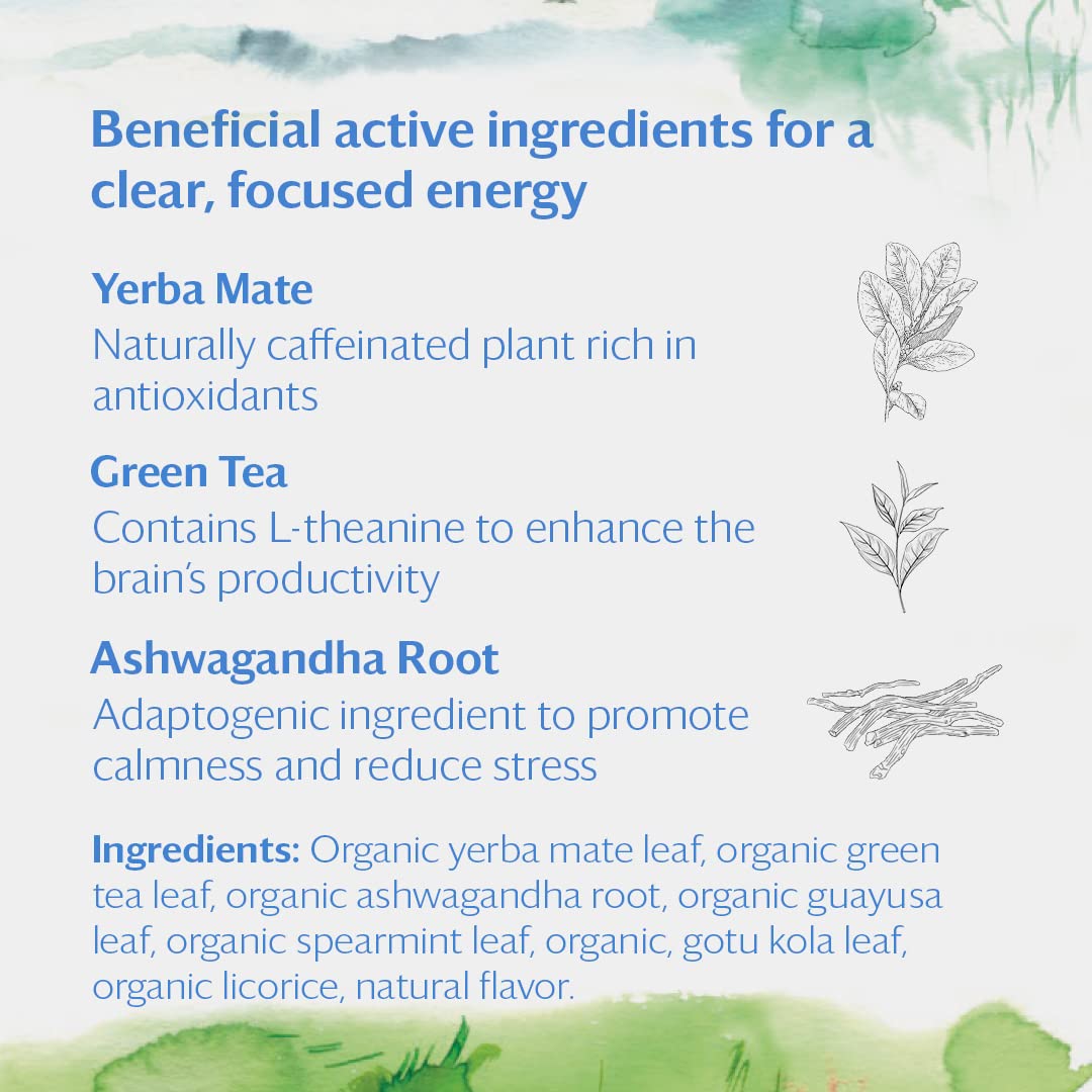 Grace Farms REVIVE Wellness Organic Tea Blend (16 Pyramid Sachets) | Yerba Mate, Green Tea, & Adaptogens | Natural Energy Coffee Replacement | Fairtrade & Kosher | Gives Back 100% of Profits