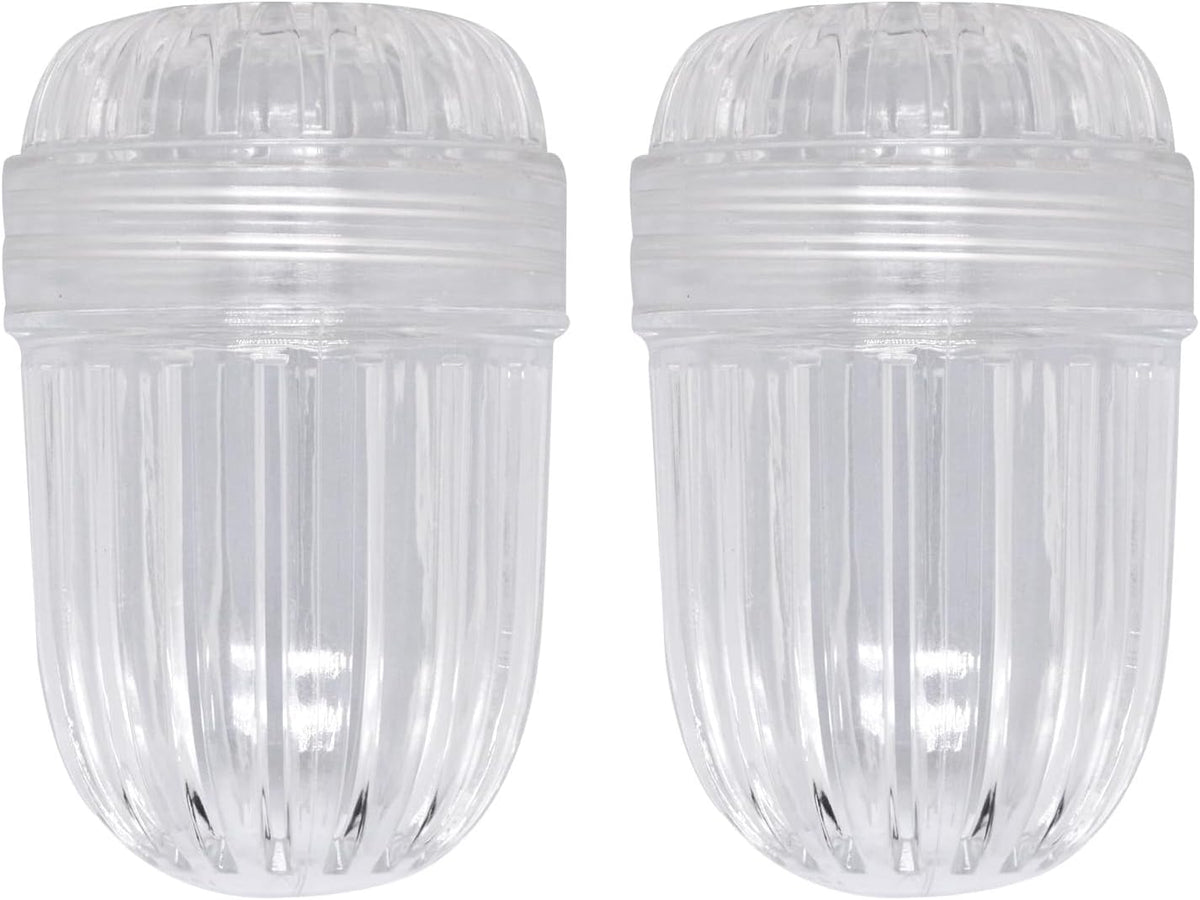 2 pcs Fruit Infuser Insert, Tea Infuser Bottle Ball for Wide Mouth Bottles