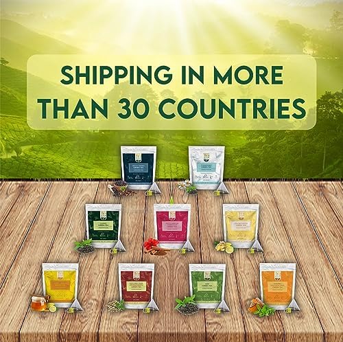 Tealeaf & Co. Lemon Ginger Green Tea with Ginger, Lemon Flavor, Orange Peel, Mint & Black Pepper - Organic Green Tea Bags with Fresh Herbs and Spices - Vegan - 100 Teabags (7.055oz/200gm)