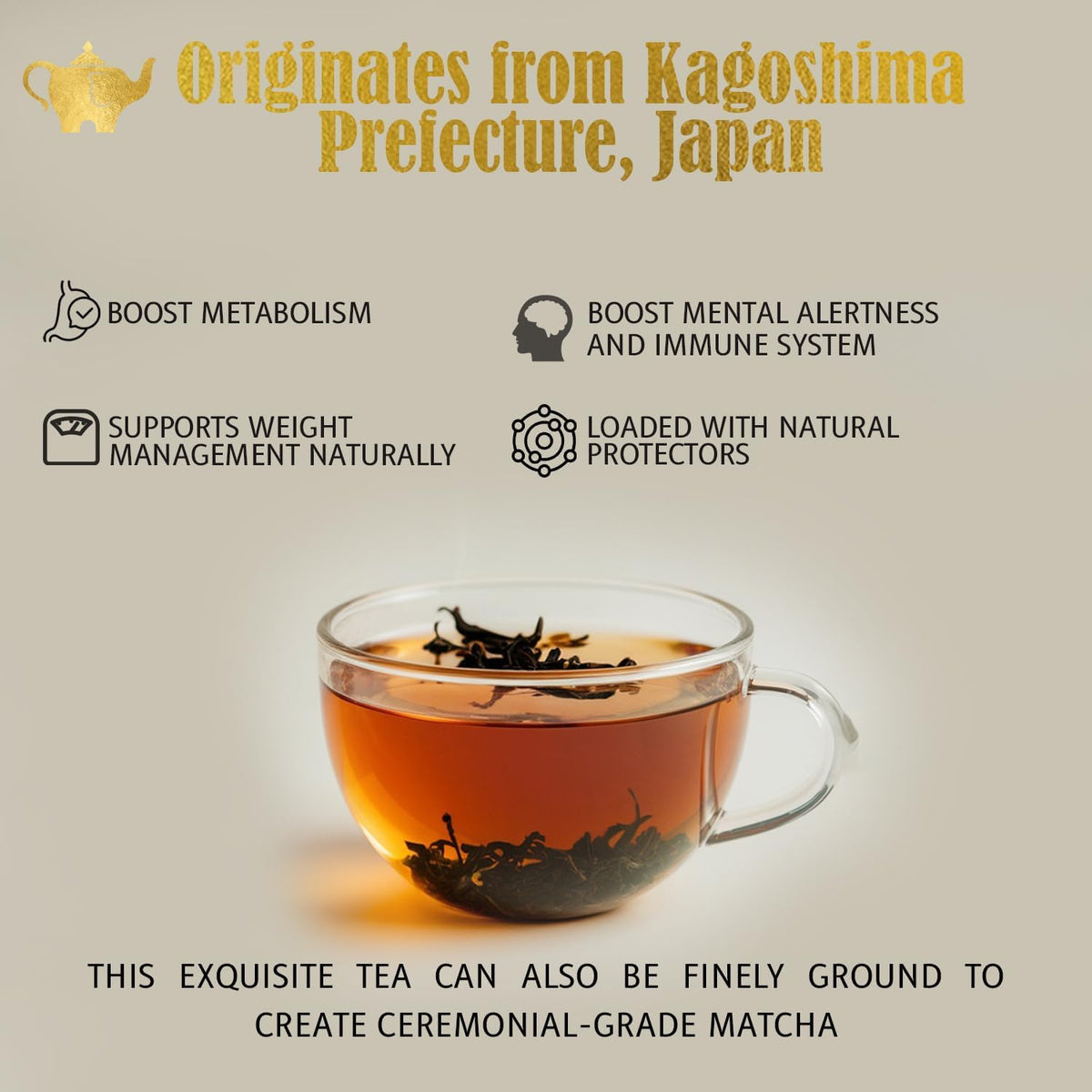 Japanese Sencha Green Tea, Organic Loose Leaf Sencha Tea – Antioxidant & Detox Support – Refreshing Hot or Iced Green Tea – 4 oz Resealable Bag (Makes 50 Cups) – The Elegant Elephant