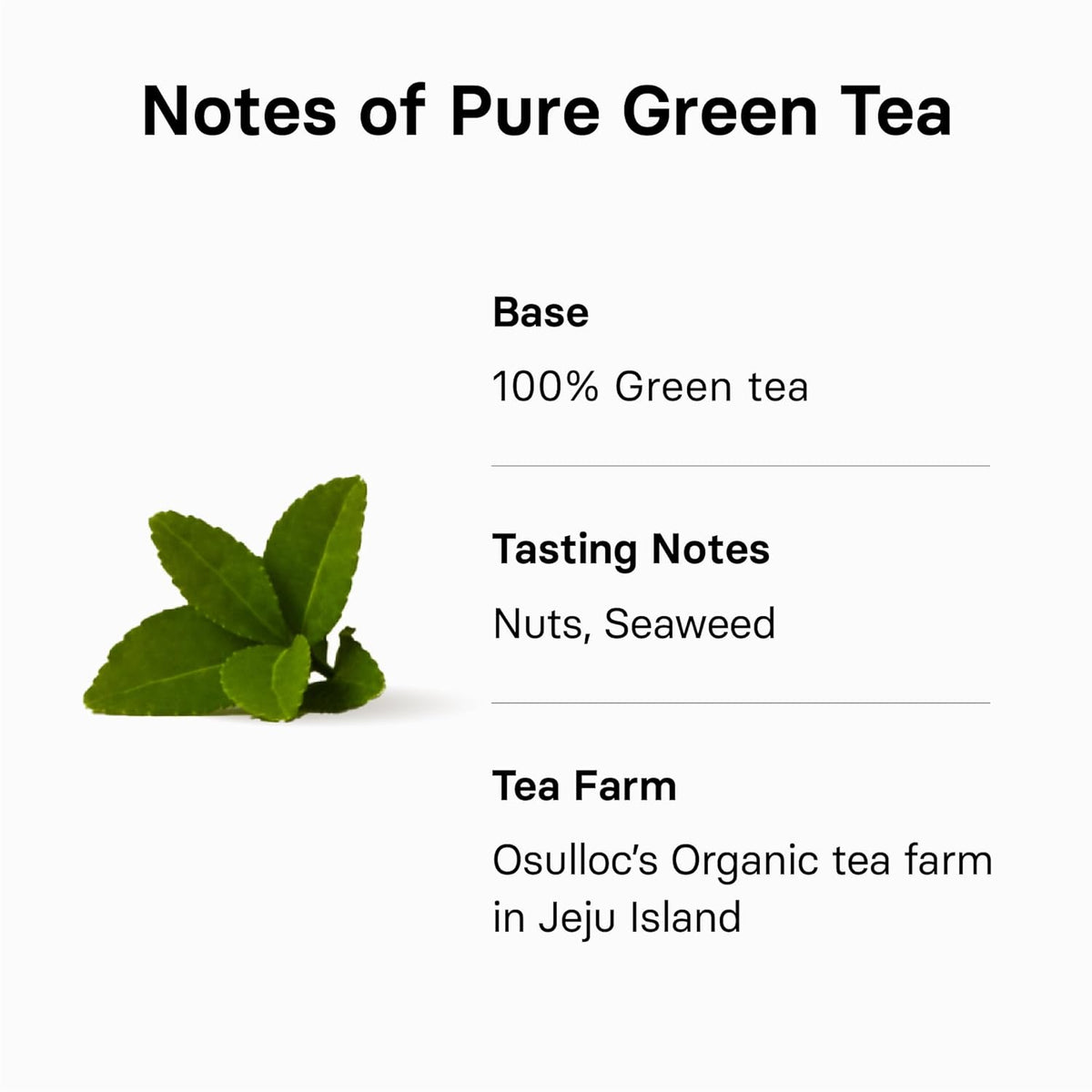 OSULLOC Pure Green Tea (Mild, Clean tasting Aroma), USDA Organic, Premium Blended Tea from Jeju, Tea Bag Series 20 count