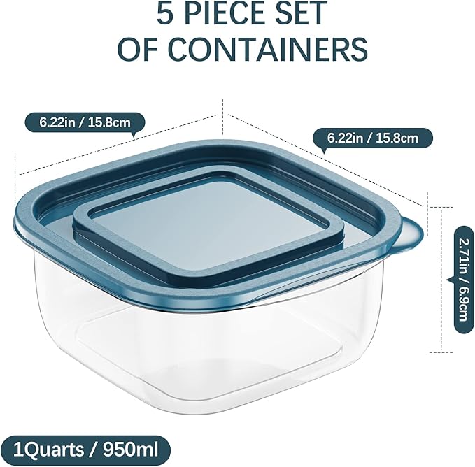 5PCS Rectangle Plastic Portion Box Sets with Lids.Food Storage Box,Container Sets,Food Storage,Food Containers,Plastic Food Container,use for School,Work and Travel,950ML Per Box.