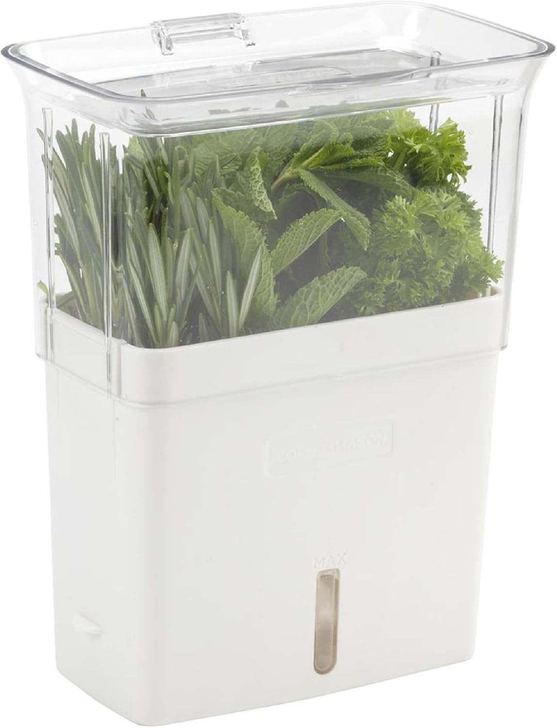 Cole & Mason Fresh Herb Keeper - Acrylic Storage Container for Refrigerator - Storage for Herbs & Vegetables for Fridge - Fresh Herb Keeper