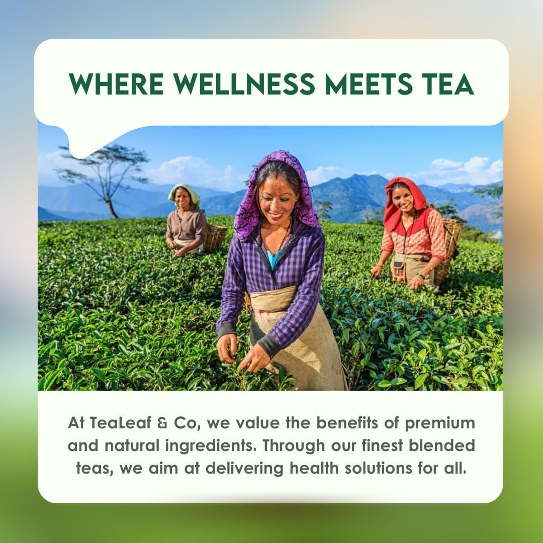 Tealeaf & Co. Classic Green Tea Loose Leaf - 100% Organic Green Tea - Contains Low Caffeine - Upto 50 Servings - Gluten Free (3.52oz/100gm)