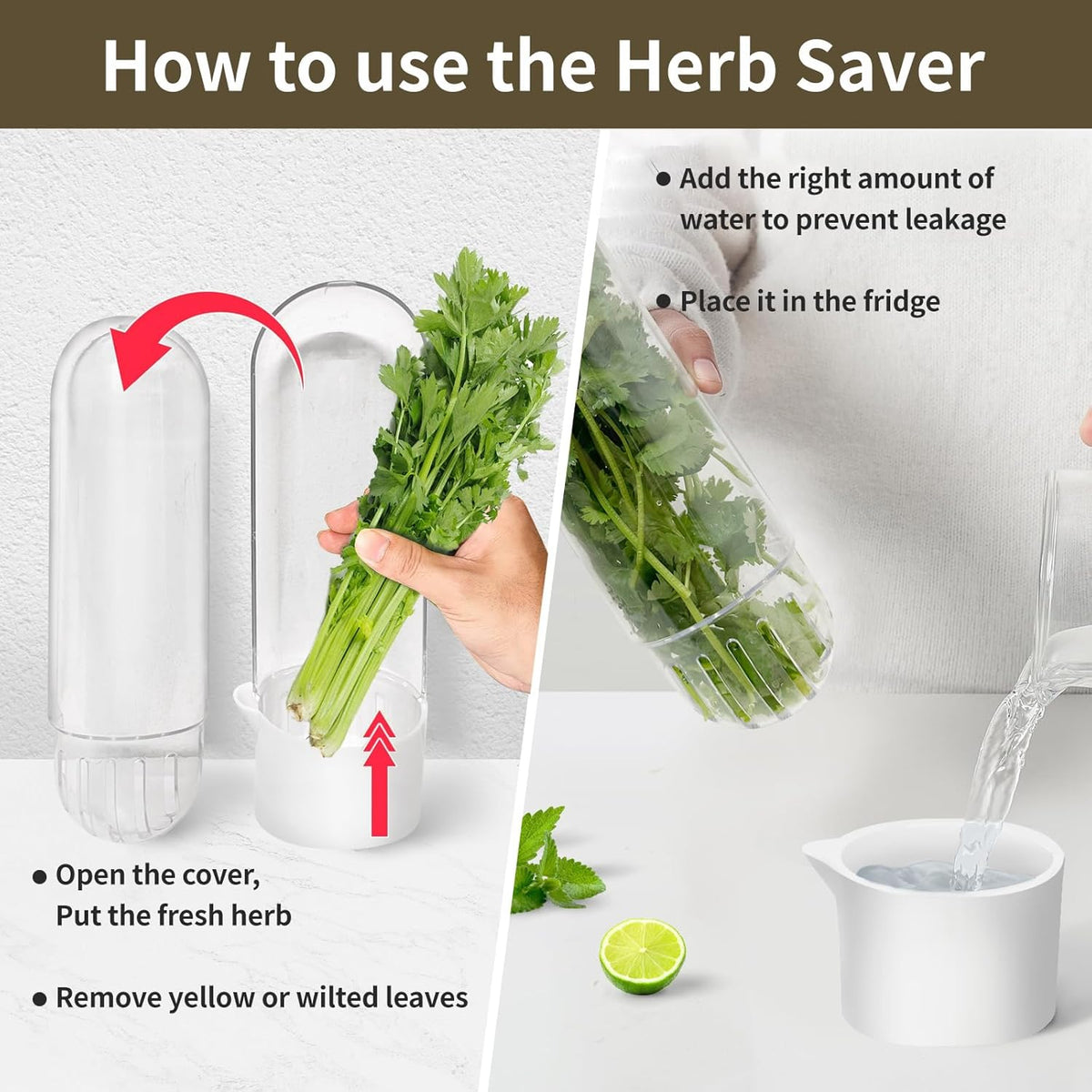 Herb Keeper for Refrigerator, Herb Saver for Refrigerator, Cilantro Container, Vegetable Preservation Bottle for Cilantro, Mint, Parsley, Asparagus, Keeps Greens Fresh for 2-3 Weeks (3PCS)
