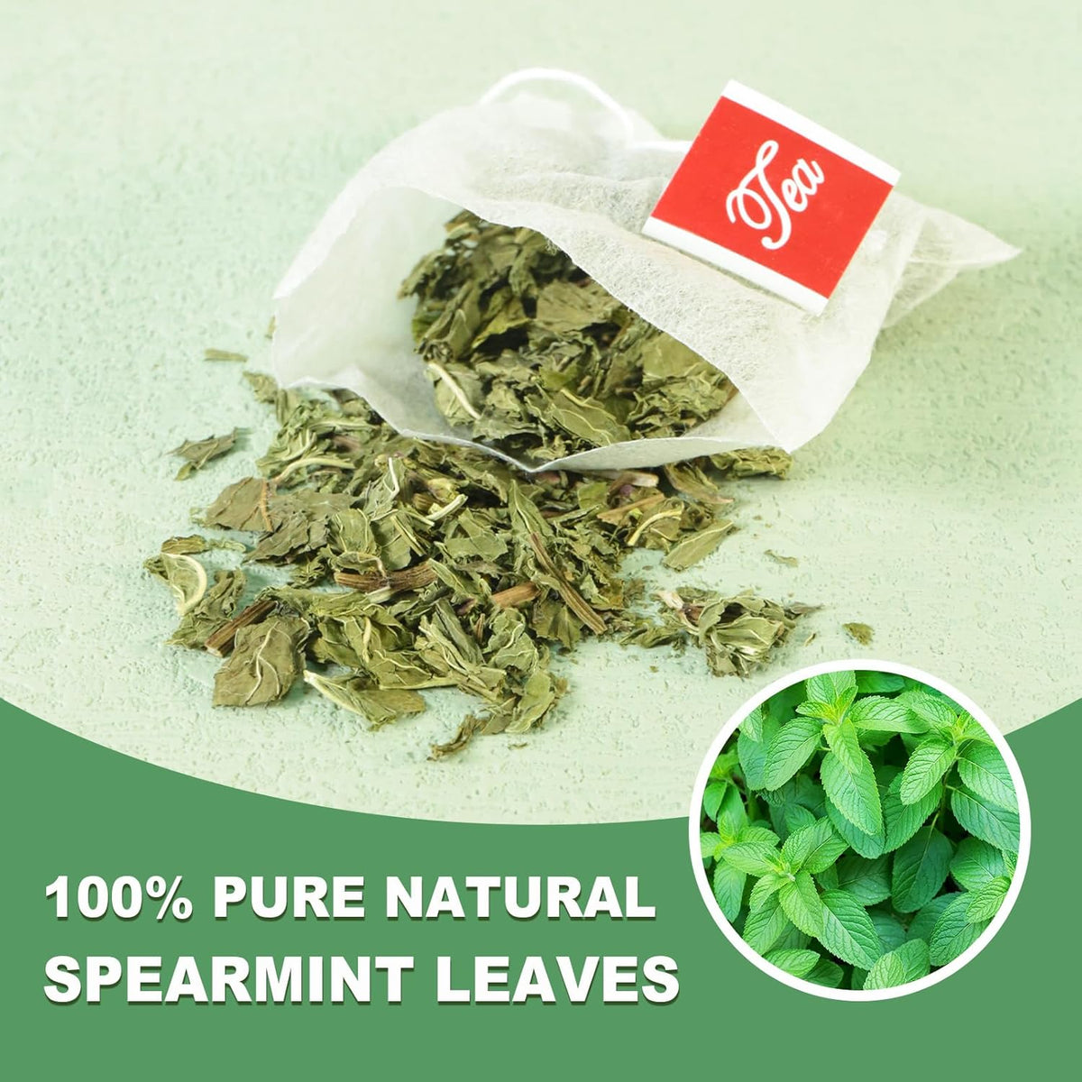 TEARELAE - Spearmint Tea - 1.5g x 50 Count - 100% Pure Spearmint Leaves - Non-GMO - Naturally Caffeine-free Herbal Tea - Support Digestion & Natural Breath Freshener