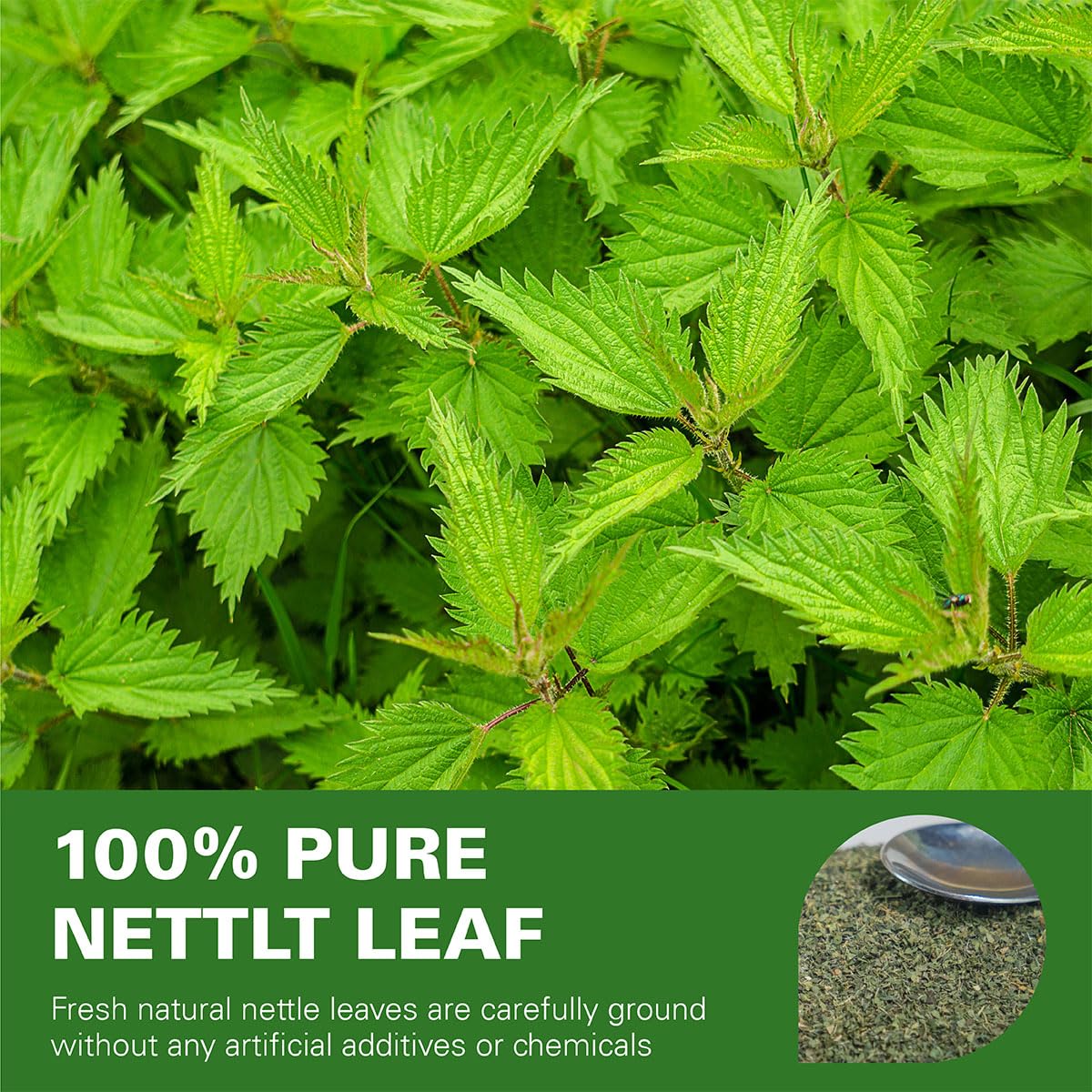 WT WEETEE Nettle Leaf Tea Bags, Made with 100% Pure Stinging Nettle Leaf, Natural Caffeine-free Herbal Tea Rich in Vitamins & Minerals,1.5g x 100 Counts