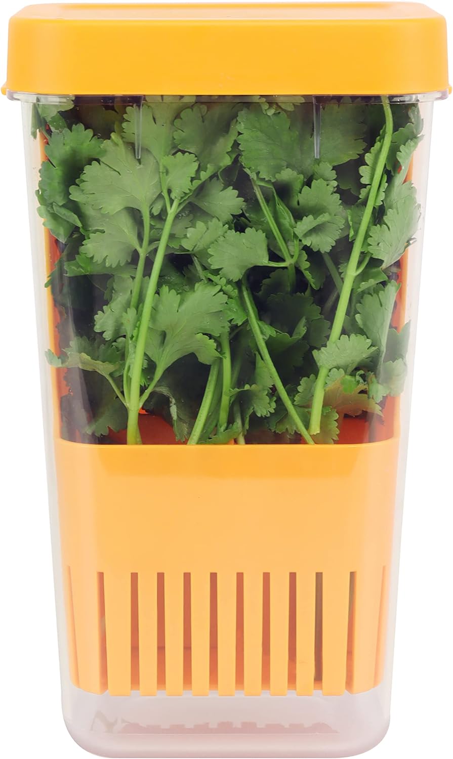 Fresh Herb Keeper for Refrigerator, Clear BPA-Free Herb Saver, Storage Container for Cilantro, Parsley, Thyme, Mint & Asparagus, Preserver Keeps Fresh Herbs for 3 Times Longer, Orange
