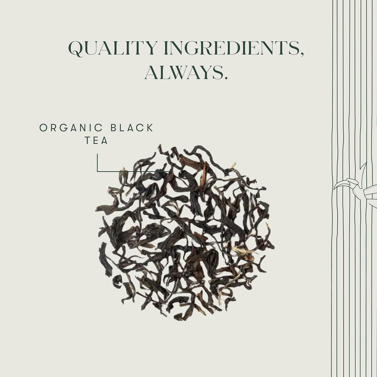 Luxmi Estates Queens Black Tea Blend 50 Tea Bags (100gm) Pack | Organic Black Tea | 50 Cups Bulk Pack