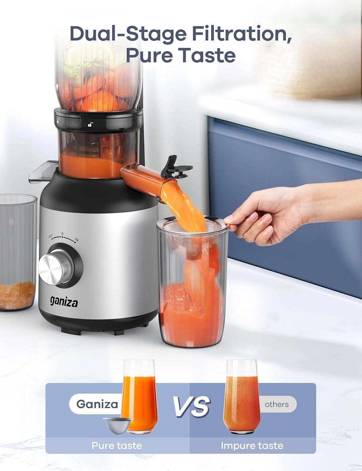 Ganiza Juicer Machines, Cold Press Juicer with 4.3" Large Feed Chute for Whole Fruits & Vegetables, Slow Masticating juicers with 3 Replace Filters for Batch Juicing, Easy to Clean, BPA Free(Silver)