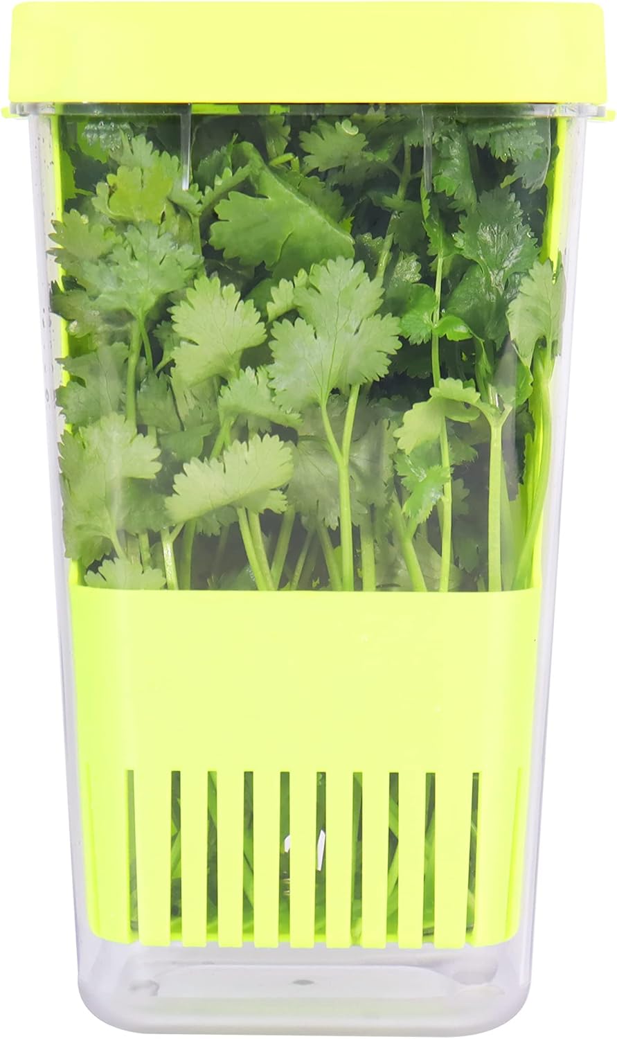 Herb Keeper, BPA-Free Plastic Herb Saver with an Inner Basket for Cilantro, Mint, Parsley, and Asparagus, Keeps Fresh Herbs for 3 Times Longer,1Pcs, Green