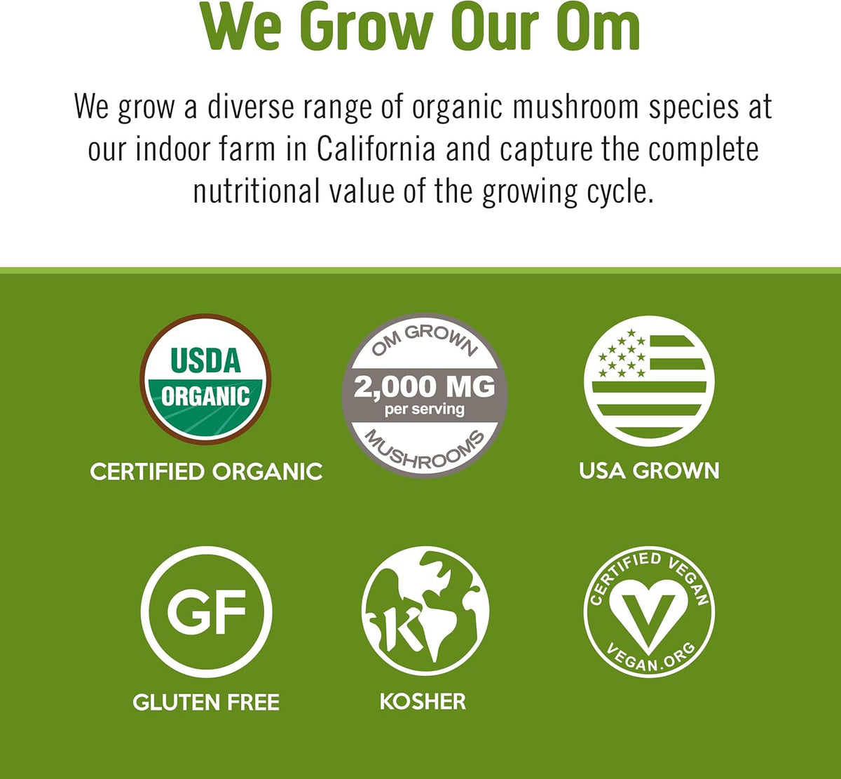 Om Mushroom Superfood Matcha Latte Blend Mushroom Powder, 8.47 Ounce Canister, 30 Servings, Green Tea, Lion's Mane, Reishi, Chaga, Turkey Tail, Focus & Stress Support Supplement