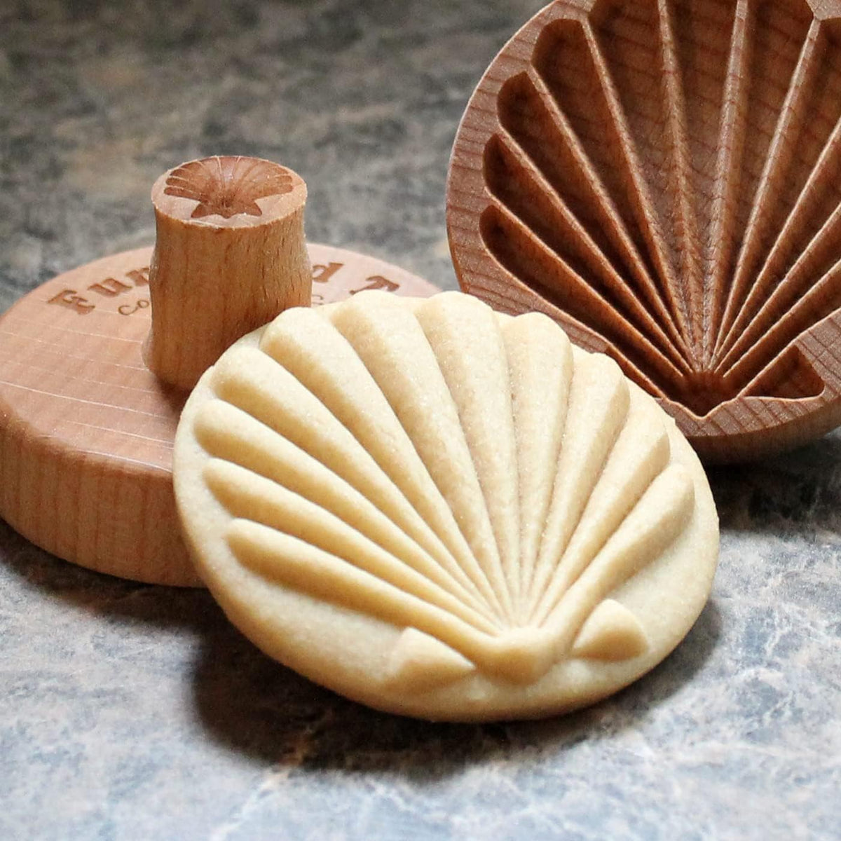 Wood Cookie Stamp, 2.5 Inch (Scallop Shell CS-040)