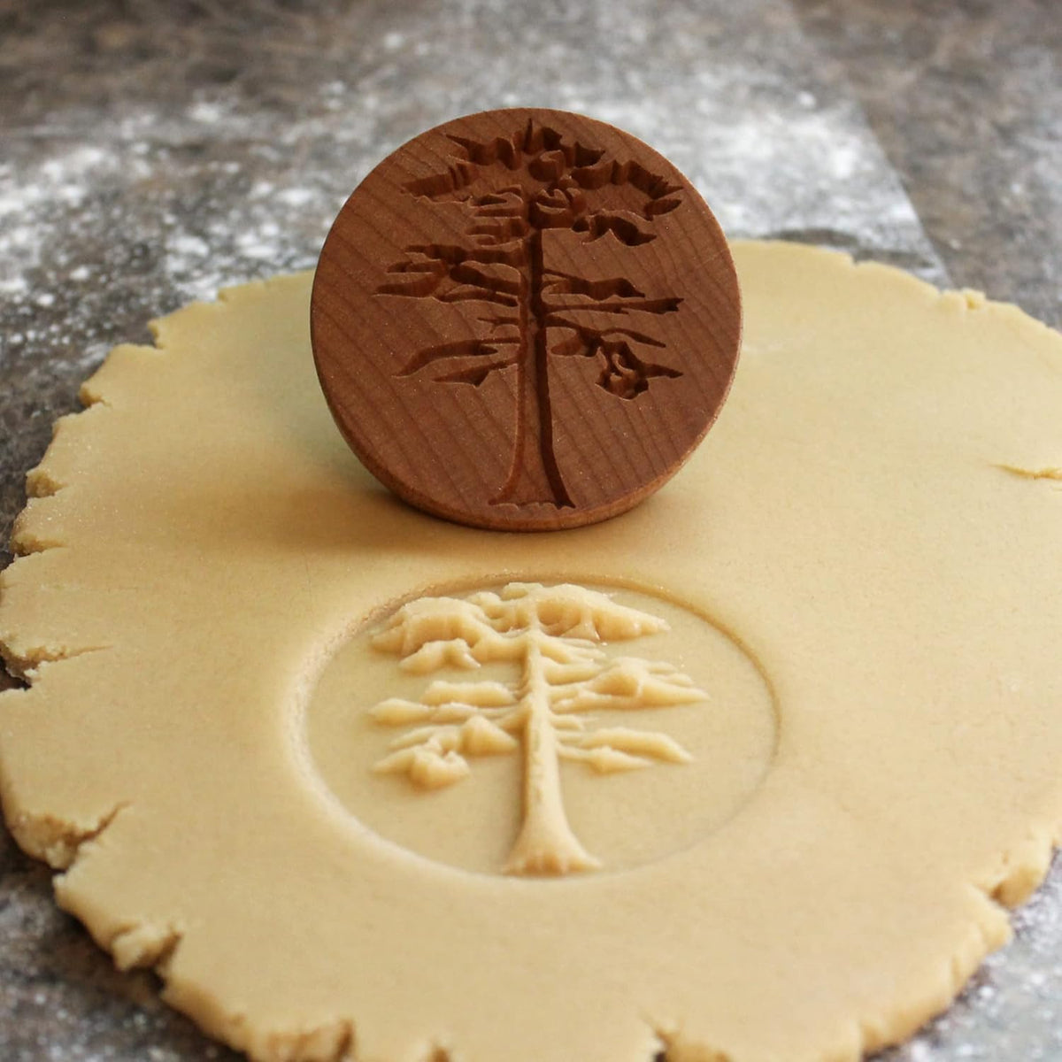 Wood Cookie Stamp, 2.5 Inch (Sequoia Tree CS-065)