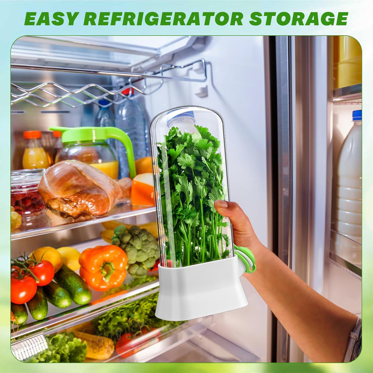 Baderke 2 Pieces Herb Saver for Refrigerator Herb Keeper Herb Storage Containers Herb Saver Pod for Cilantro, Parsley, Asparagus, Keeps Vegetables for 2-3 Weeks(White)