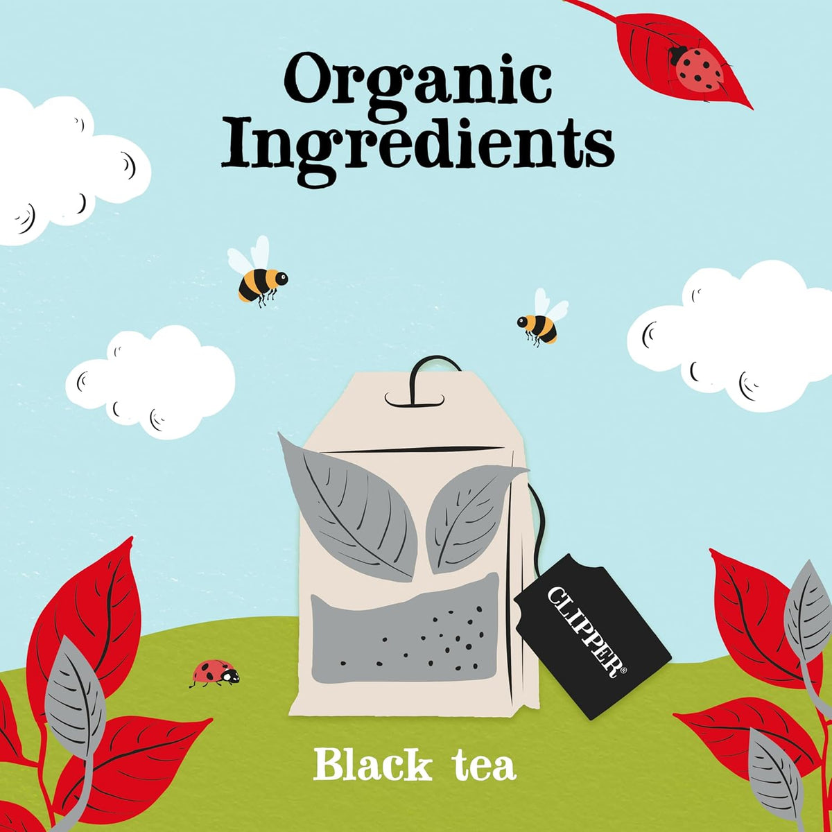 Clipper Tea, English Breakfast Assam Blend, Fairtrade, Organic, Plant-Based, Caffeinated British Tea, 4 Pack, 320 Unbleached Tea Bags