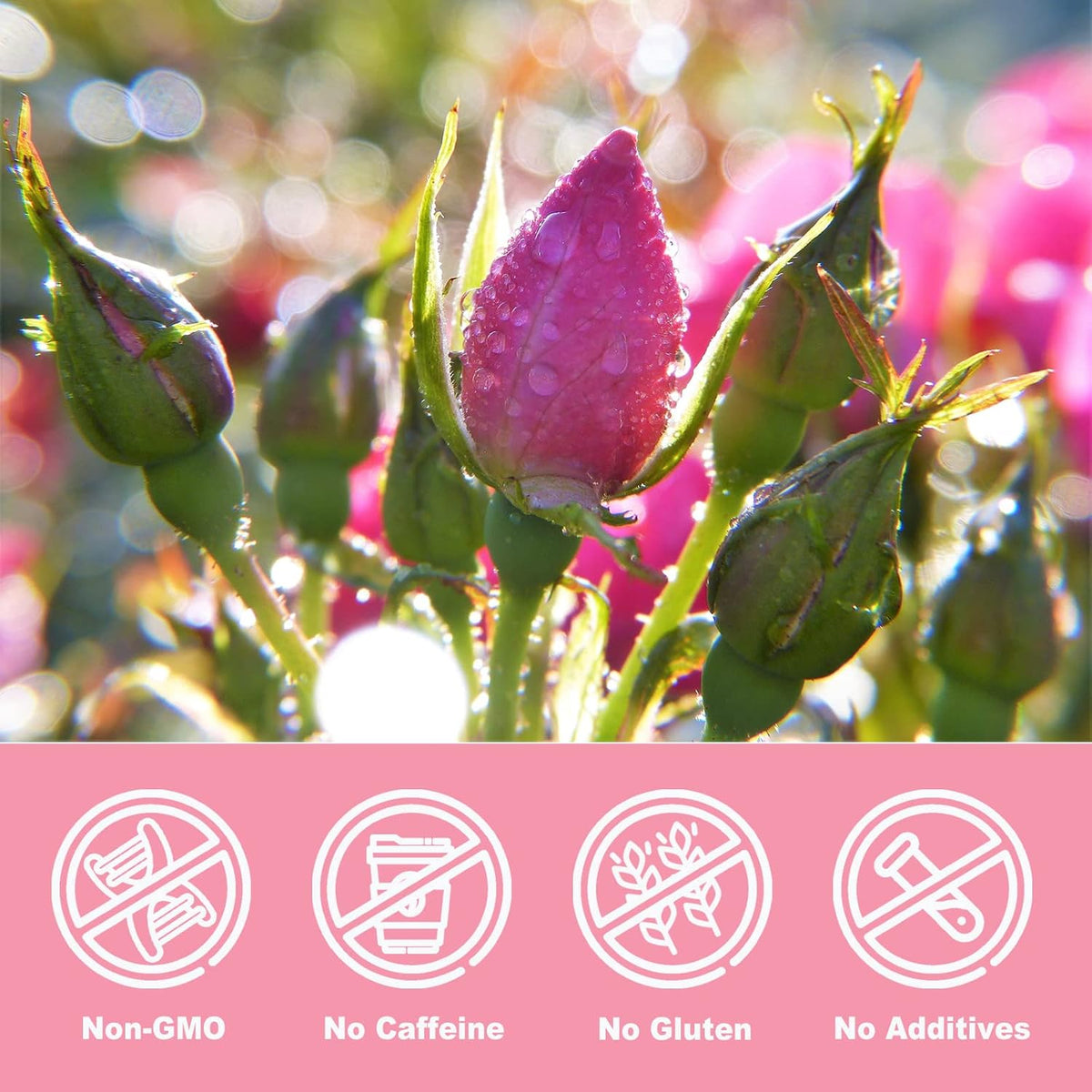 Olvvla - Dried Rose Bud For Fragrant Herbal Tea - 3.52oz/100g - Delicate Sweet and Refreshing - Natural Pink Rosebud Flower for Tisane, Decorative Desserts