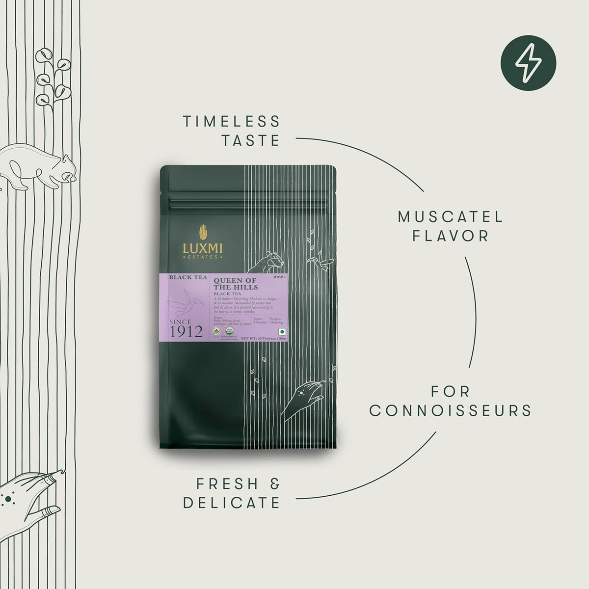 Luxmi Estates Queens Black Tea Blend 50 Tea Bags (100gm) Pack | Organic Black Tea | 50 Cups Bulk Pack