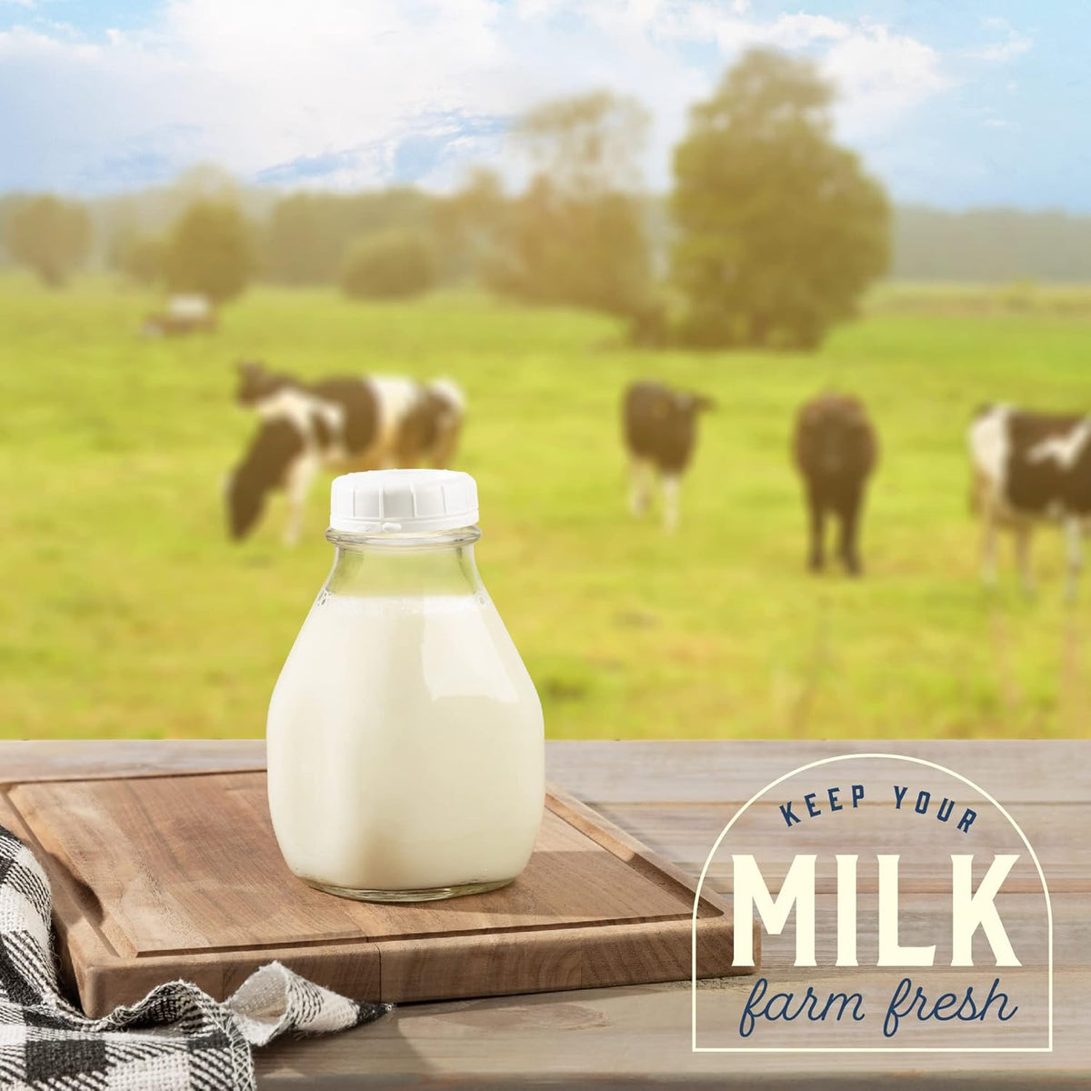 kitchentoolz 16 Oz Glass Milk Bottle with Lid - 16 Ounce Short and Wide Glass Milk Container for Refrigerator with Tamper Proof Lid and Pour Spout - Pack of 2