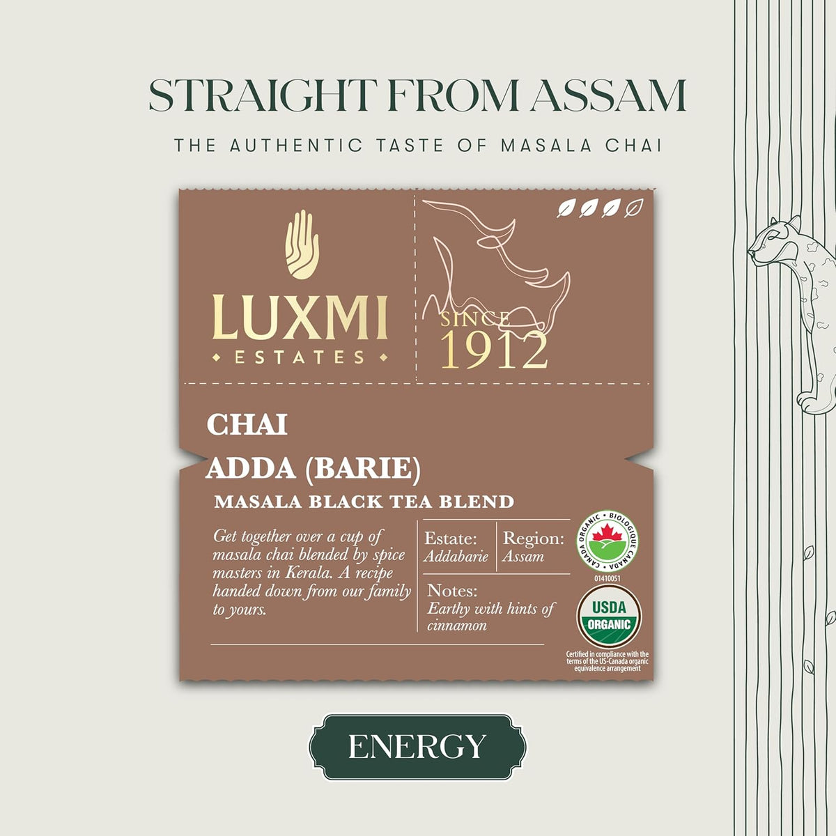 Luxmi Estates Chai Adda-Bari 25 Tea Bags (50g) Pack | Masala Chai | Certified Organic Black Tea
