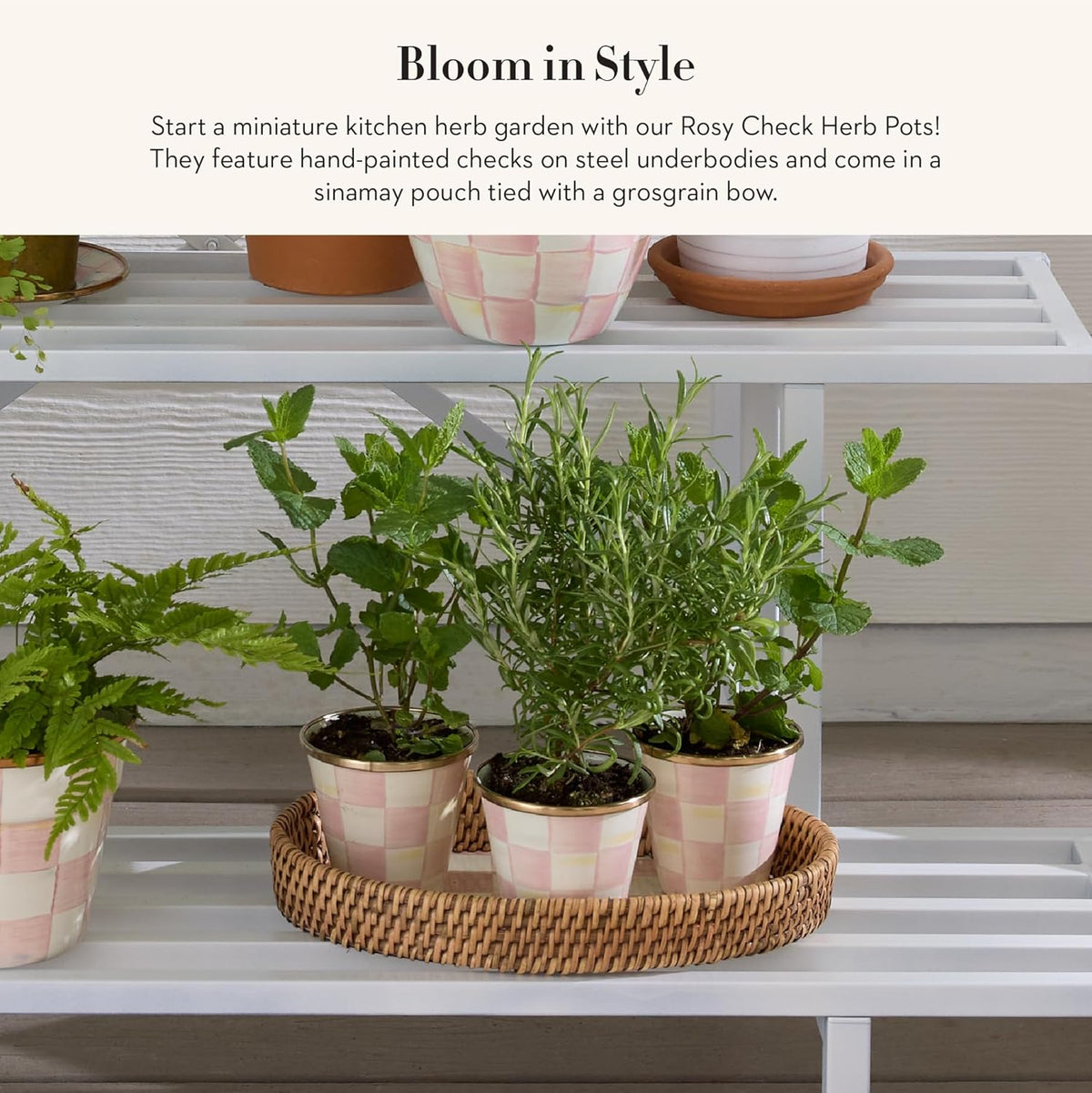 MACKENZIE-CHILDS Enamel Herb Pots, Small Plant Pots for Herbs or Flowers, Set of 3, Pink-and-White Rosy Check