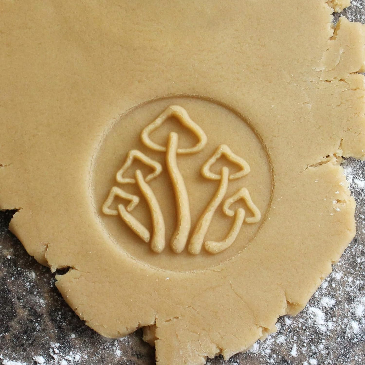 Wood Cookie Stamp, 2.5 Inch (Mushrooms CS-066)