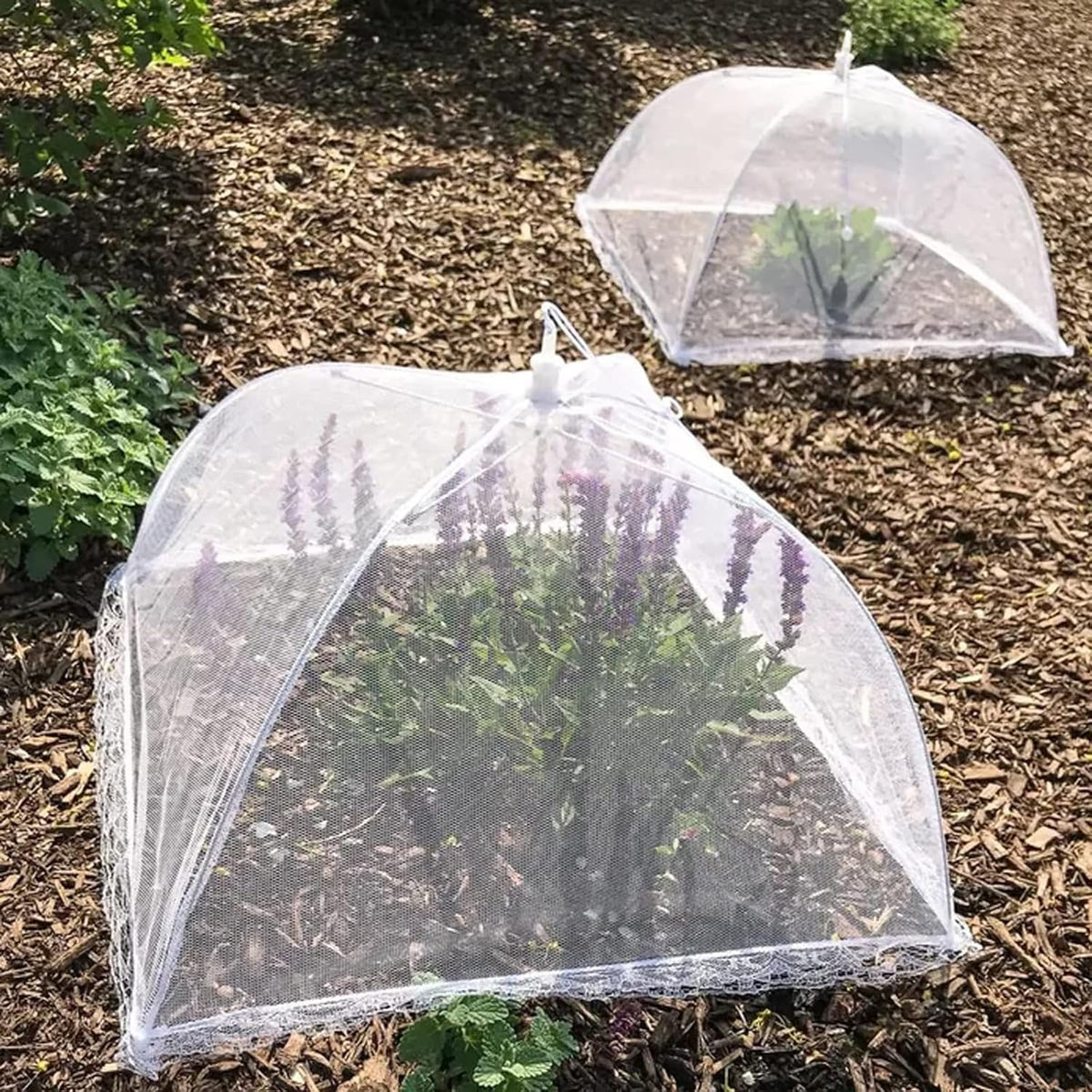 Simply Genius Pop-Up Outdoor Food Covers to Keep Bugs Away - 14 x 14 in, 4 Pack, White - Mesh Food Covers for Picnic & BBQ - Portable Nets for Outside