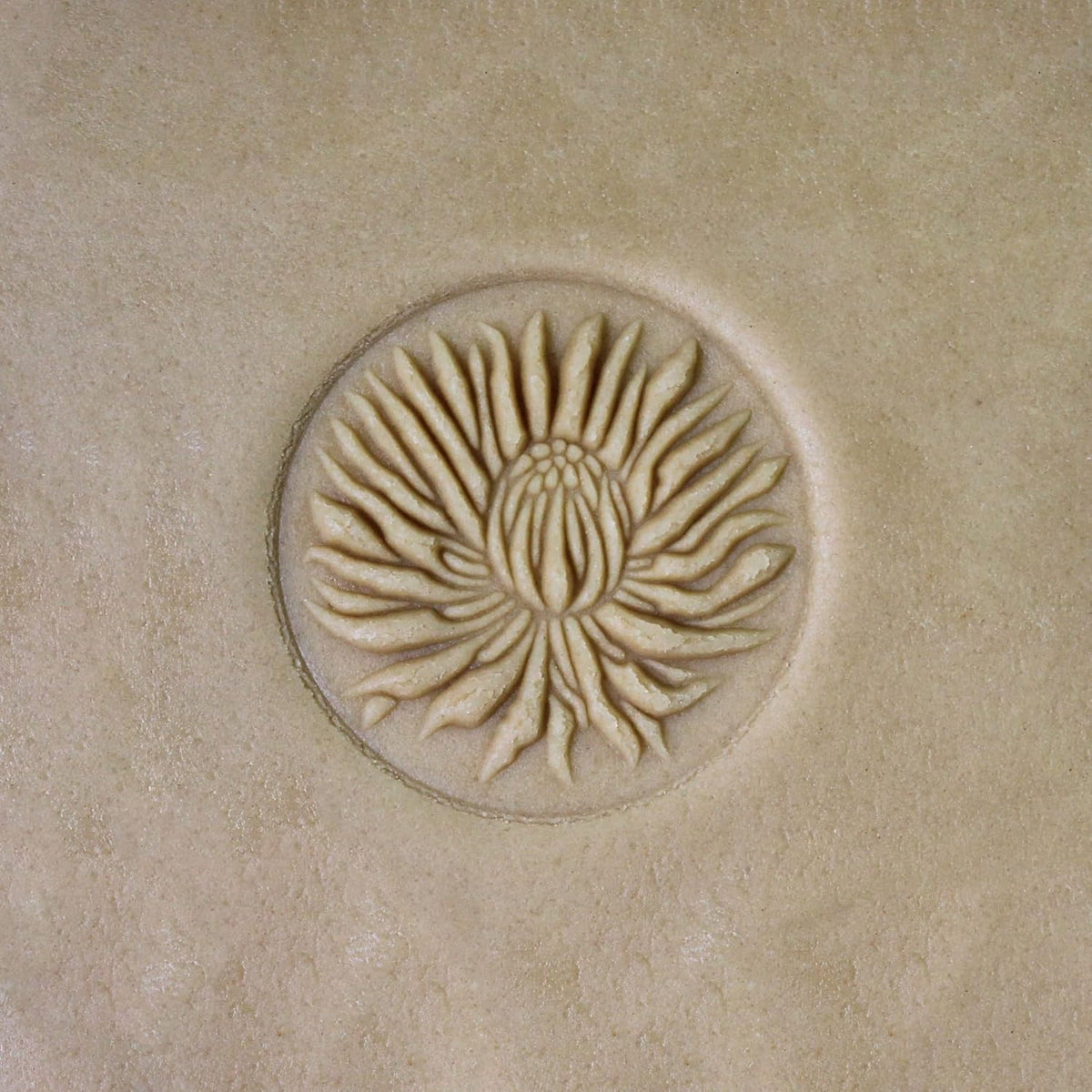 Wood Cookie Stamp, 2.5 Inch (Blooming Chrysanthemum CS-010)