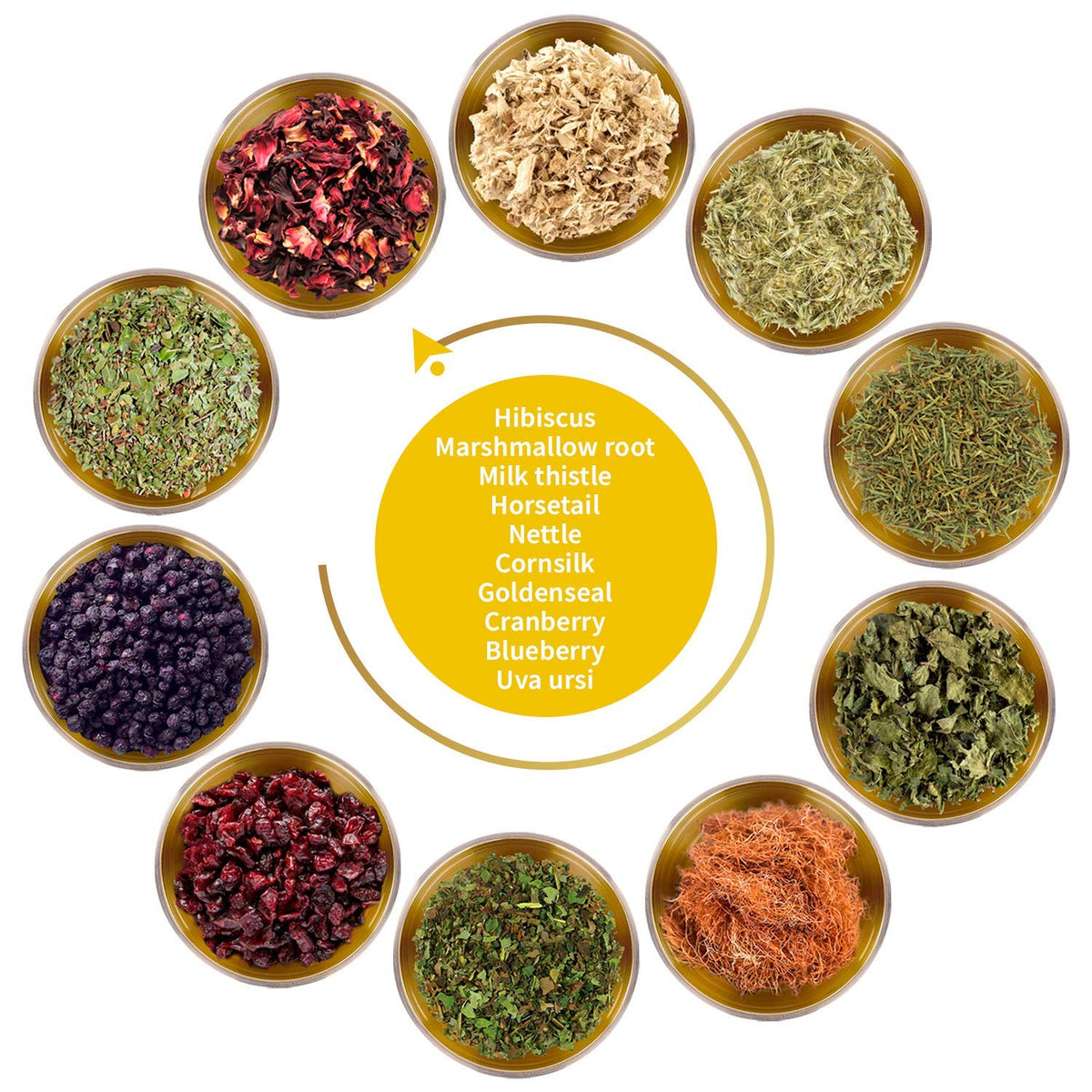 FunctionaliQi Flush Herbal Tea for Urinary Health - Marshmallow Root Milk Thistle Cornsilk and Goldenseal, Hibiscus Blend with Nettles, Cleansing Herbs and Cranberries (14 tea bags)