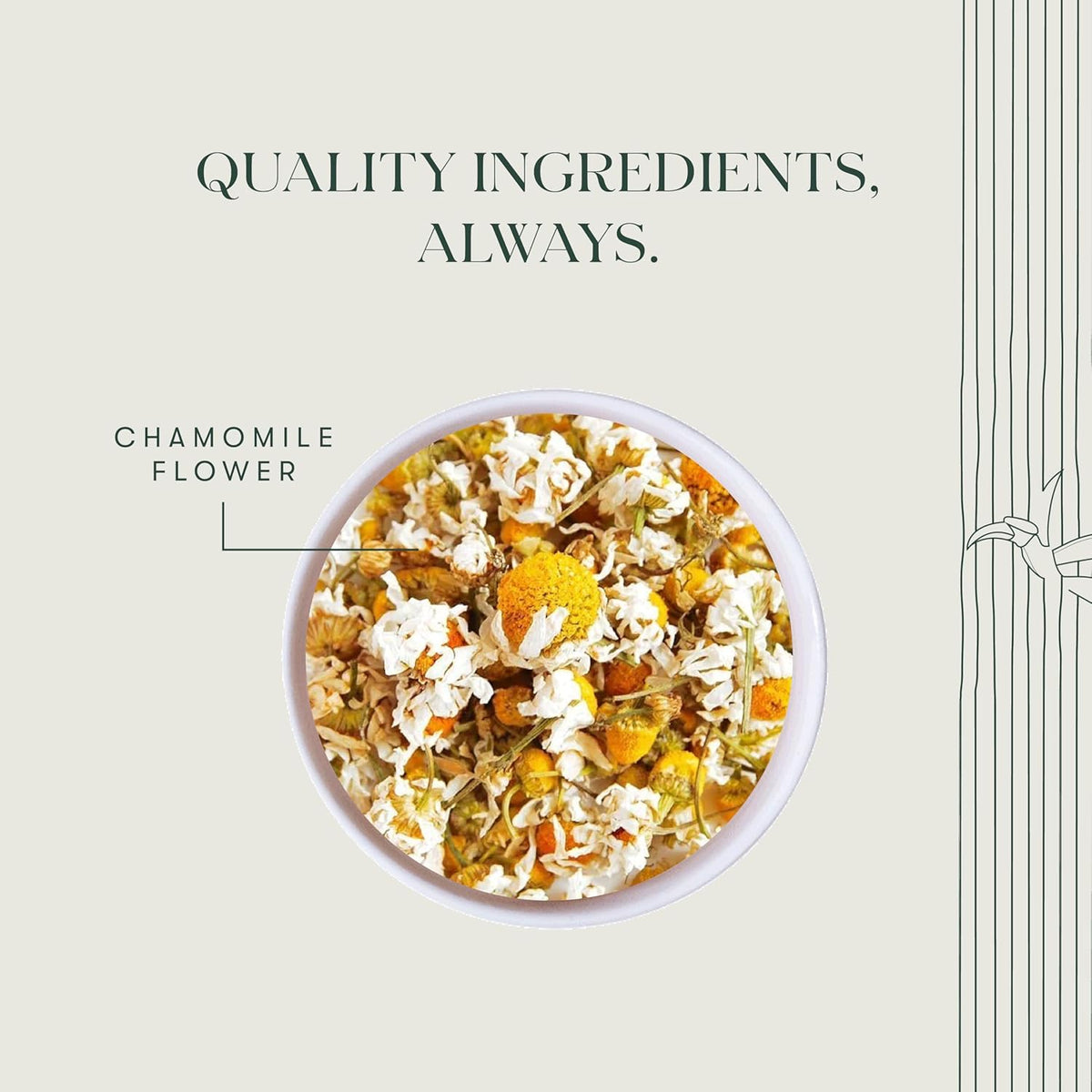 Luxmi Estates Chamomile Herbal Tea 100g Loose Leaf Tea | Herbal Tea | Caffeine-Free | Single Ingredient | 50 Cups Bulk Pack