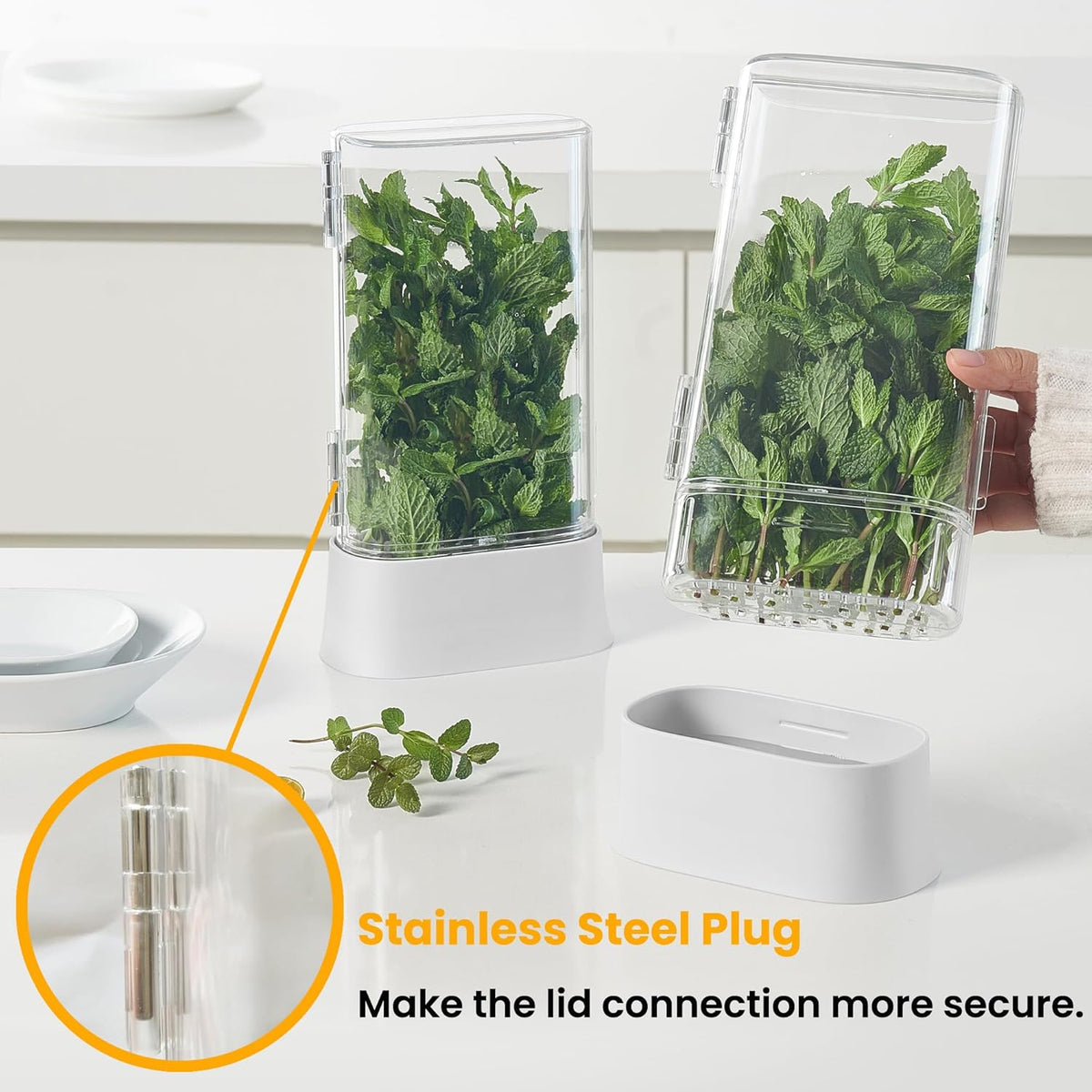 vacane Herb Keeper for Refrigerator, Fresh Herb Saver Herb Storage Containers, Cilantro Container for Fridge Asparagus Container, Dishwasher Safe-2 Pack