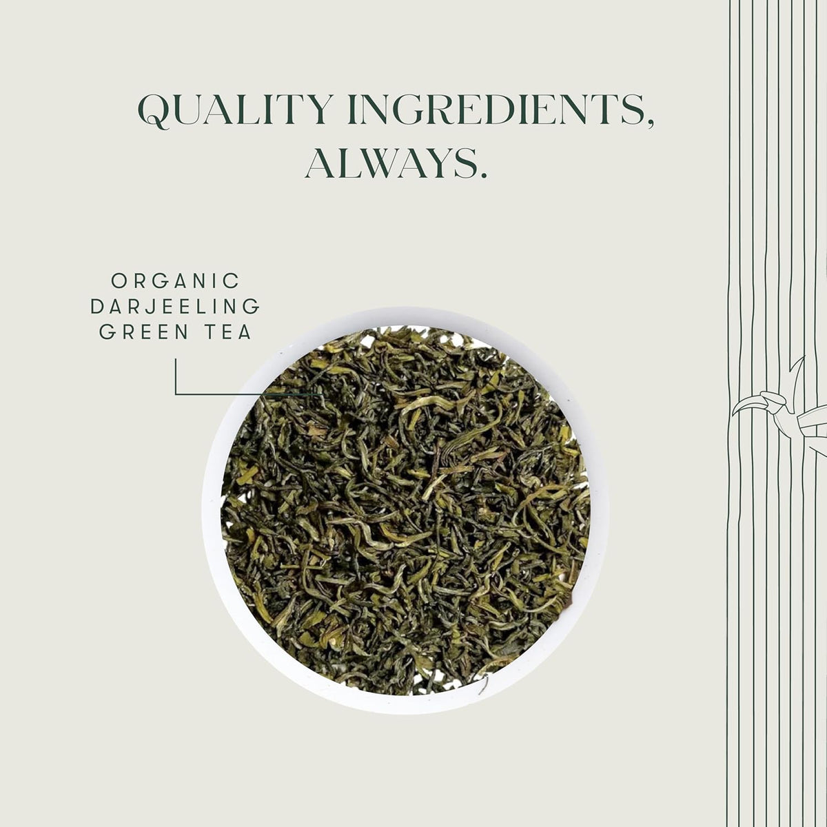 Luxmi Estates Tokyo Green Organic Green Tea (50 Tea Bags) Tea Bags For Relaxing, Calming, and Stress Relief, With Certified Organic Darjeeling Makaibari Green Tea