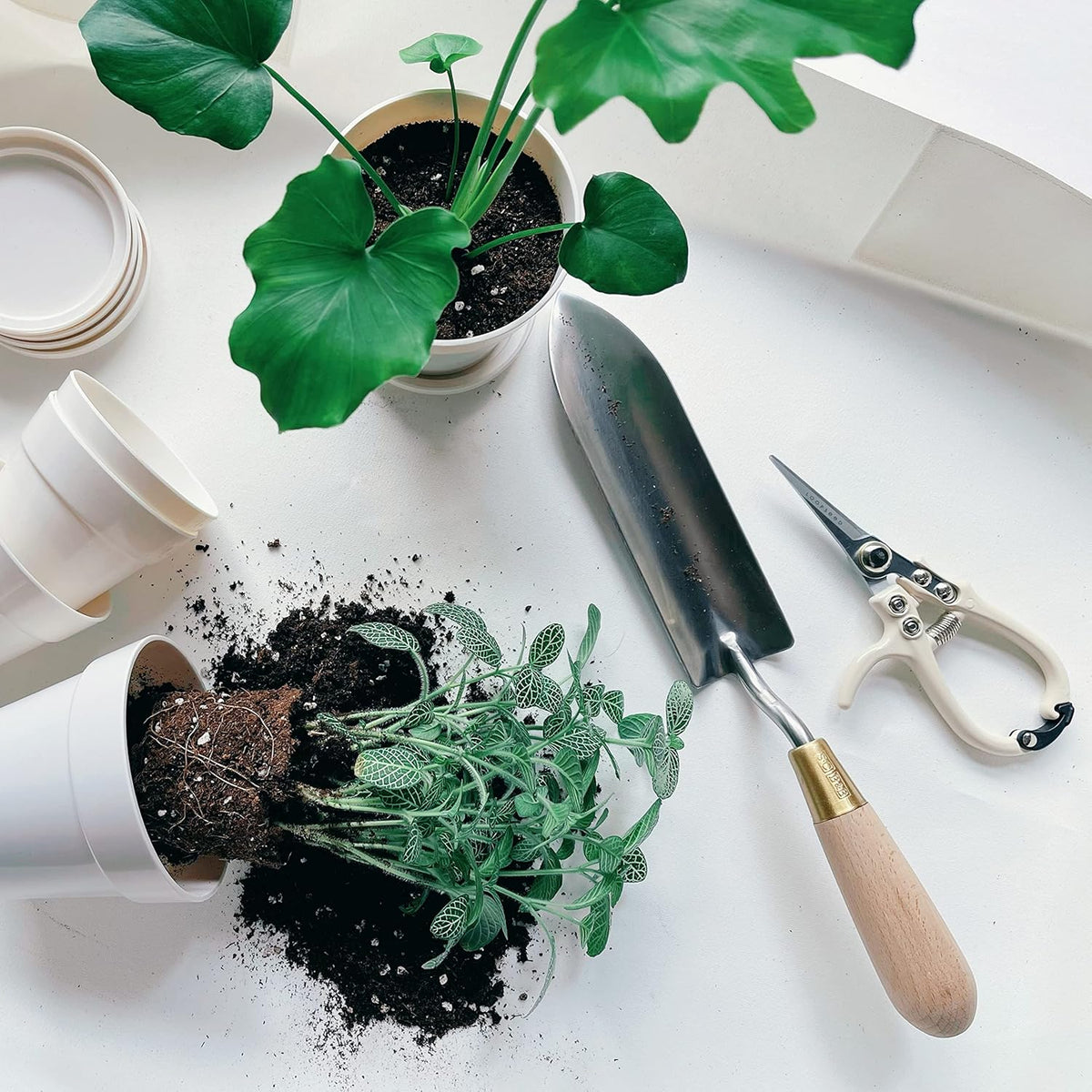 Plant Pruning Shears with Vegan Leather Sheath Garden Trimming Scissors with Belt Holster Bonsai Trimmers Herb Snips Flower Clippers Modern Tools 2 Piece Bundle (Cream Pruner Beige Sheath)