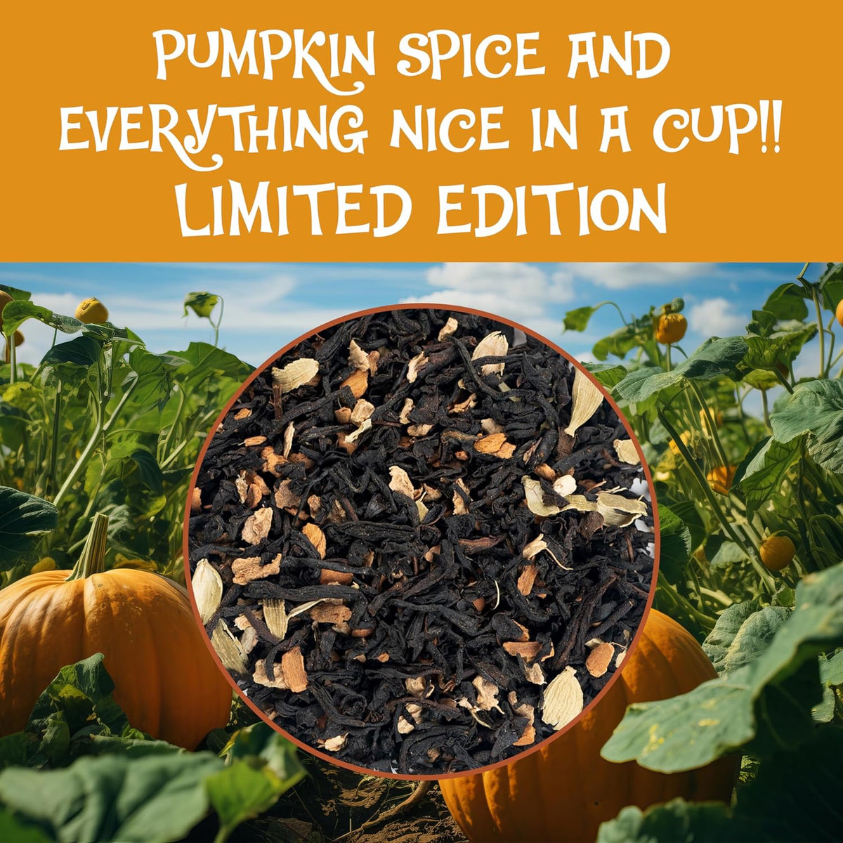 BREWIX, Pumpkin Spice Black Tea, Loose Leaf Tea (50+ Cups, 3.53oz/100g) | Fall | Halloween | Warm and Spicy